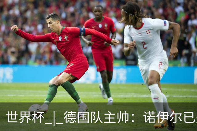 世界杯 | 德国队主帅：诺伊尔已完全康复
